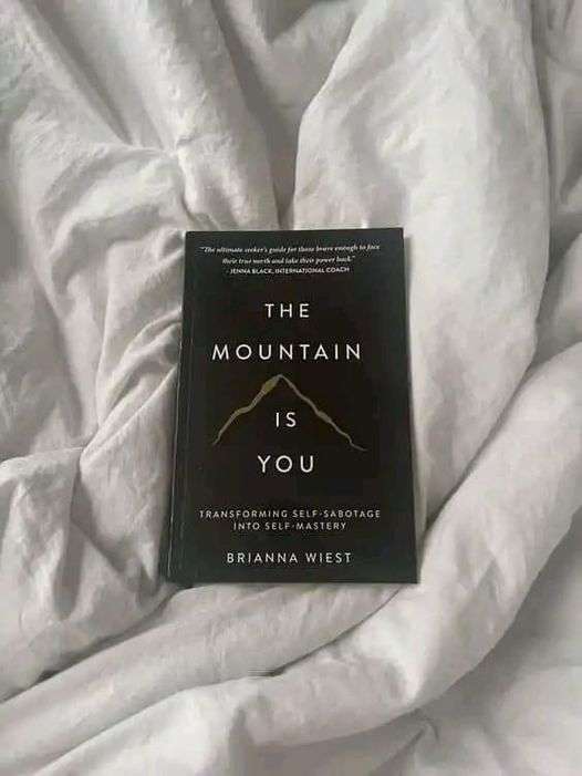 THE MOUNTAIN IS YOU BY BRIANA WIEST BOOK REVIEW
