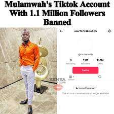 Mulamwah's Tiktok Account With Over 1 Million Followers Banned