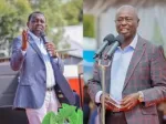 Oscar Sudi Asserts Gachagua's Successor Will Be From the Mountain Region