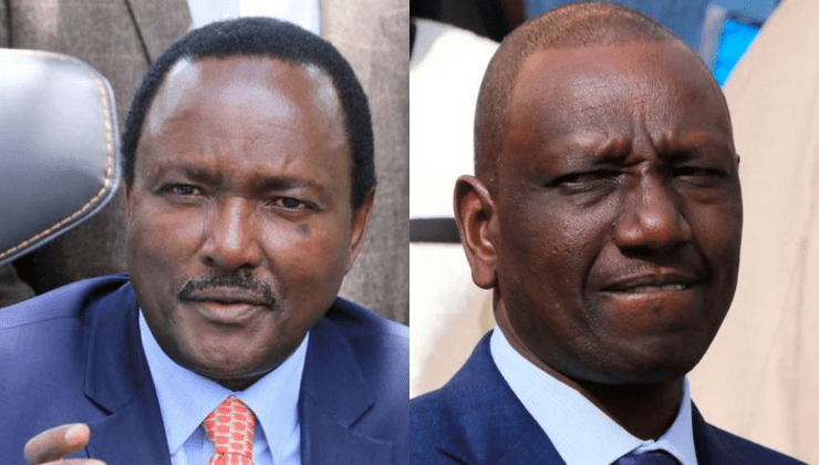 Kalonzo to Ruto: Scrap Adani-SHA Deal Too