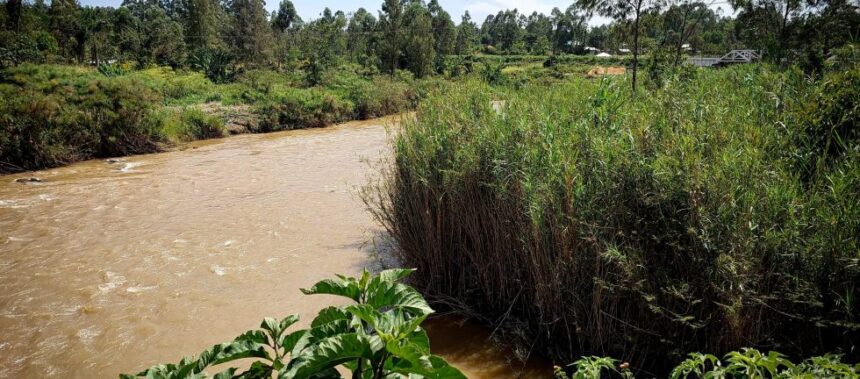 Body of Missing University Lecturer Found in a River