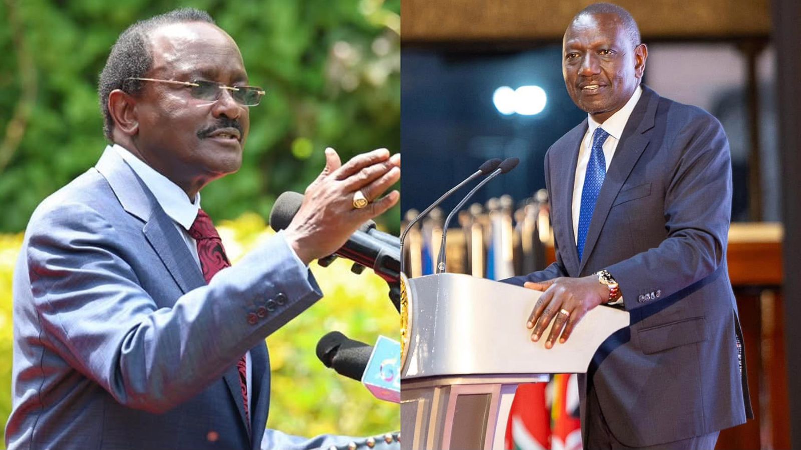 Kalonzo issues 7-day ultimatum to President Ruto over abductions